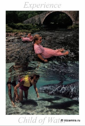 Nature Tarot by Jan Strube